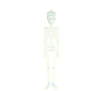 Skelet selvlysende ca. 56cm