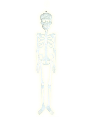 Skelet selvlysende ca. 56cm