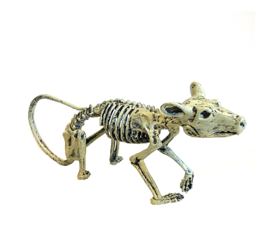 Rotte skelet 26 cm